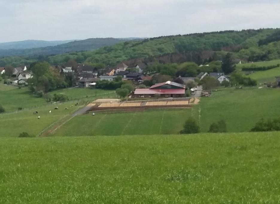 "Die Jockeysuite" Auf Unserem Reiterhof Birkenbeul Экстерьер фото